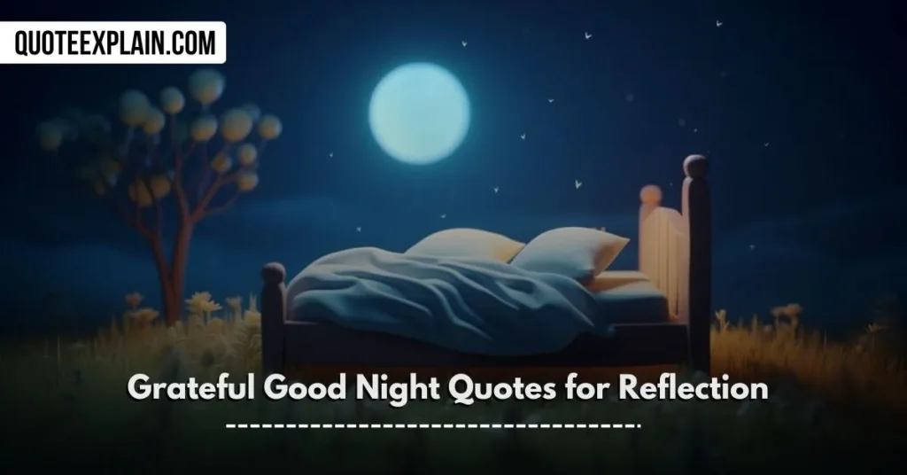 Grateful Good Night Quotes for Reflection