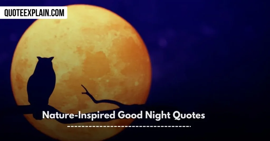 Nature-Inspired Good Night Quotes