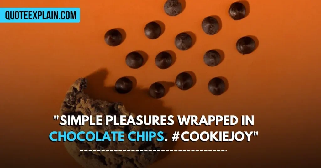 "Simple pleasures wrapped in chocolate chips. #CookieJoy"