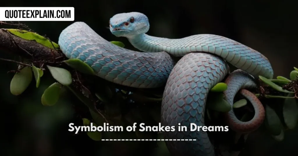 Symbolism of Snakes in Dreams