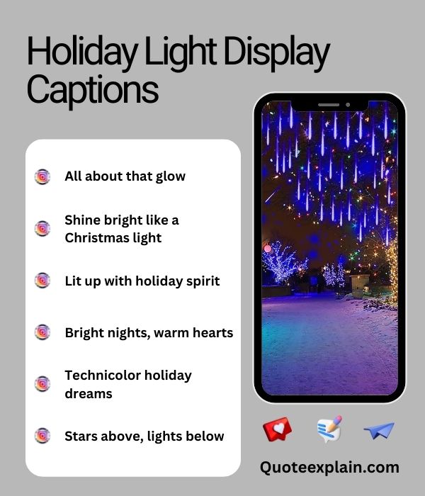 Holiday Light Display Captions