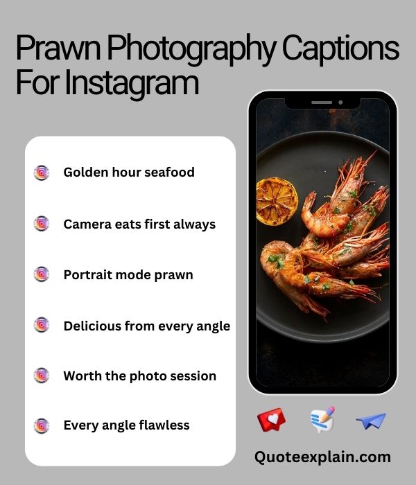 Prawn Photography Captions For Instagram