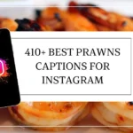 Prawns Captions for Instagram