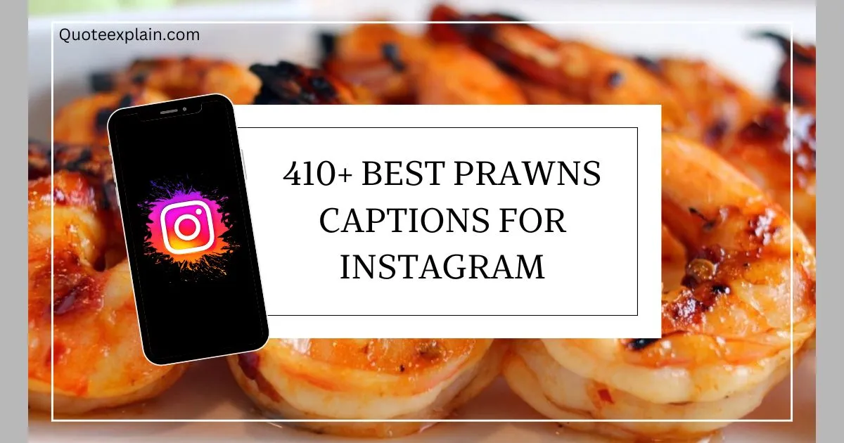 Prawns Captions for Instagram